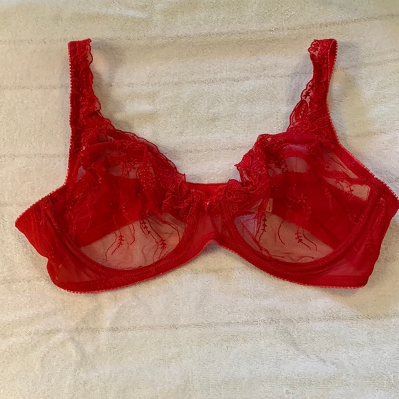 Sheer Red Underwire Bra from Felina Lingerie - Picture 1 of 6